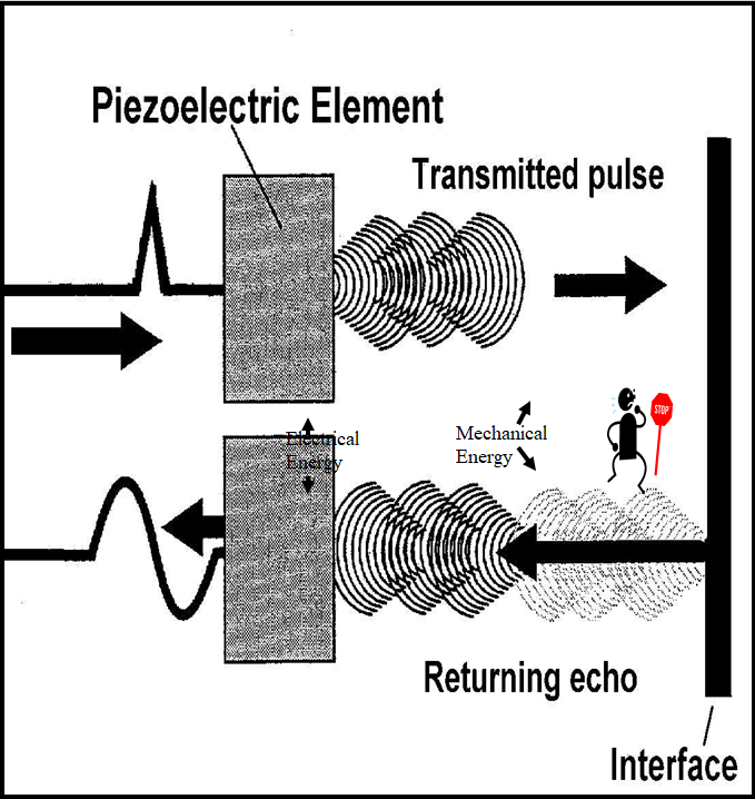 Chapter 1 : Introduction to Ultrasound