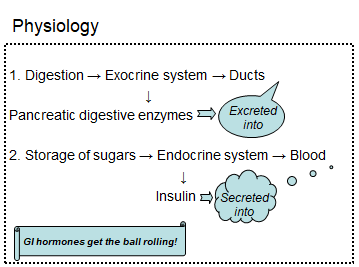 Chapter 8 : Pancreas: Normal