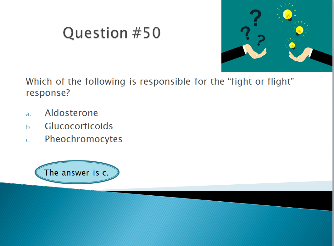 Chapter 10: Urinary System and Adrenal Glands: Normal