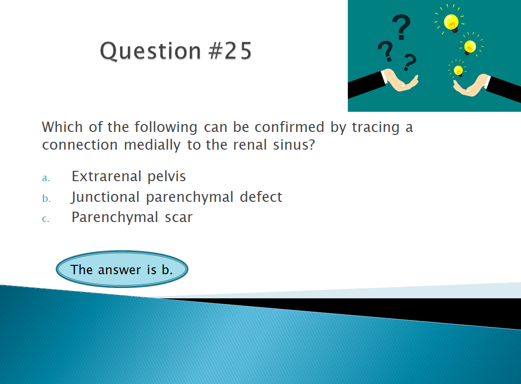 Chapter 10: Urinary System and Adrenal Glands: Normal