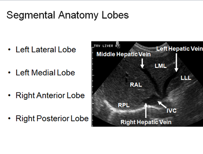 Chapter 2 : Liver: Normal